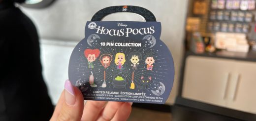 Hocus Pocus Pin Collection
