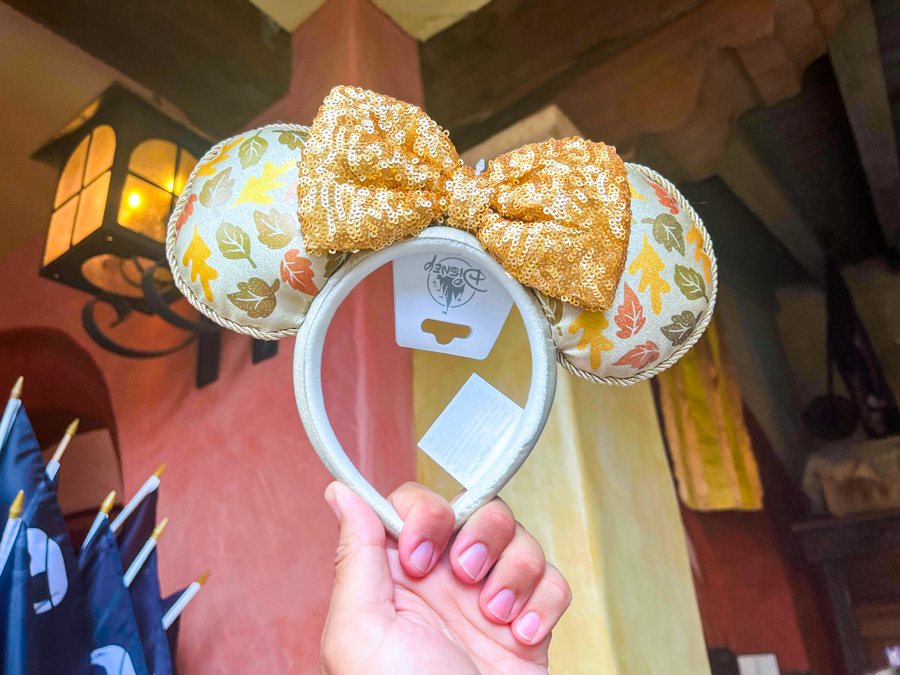 Minnie Mouse Fall Leaves Ears Disney World