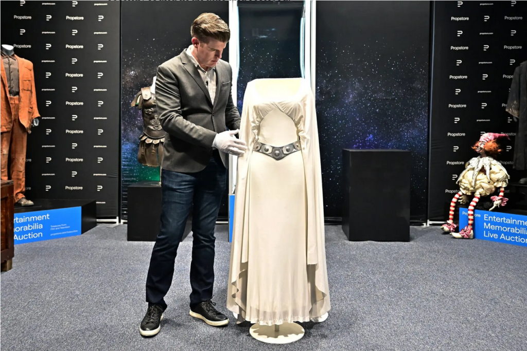 Princess Leia Dress