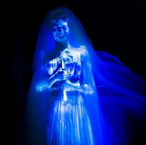 Haunted Mansion Bride
