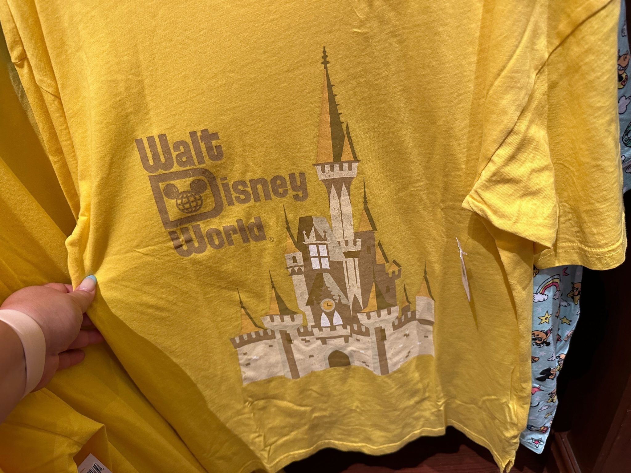 walt disney world magic kingdom park
