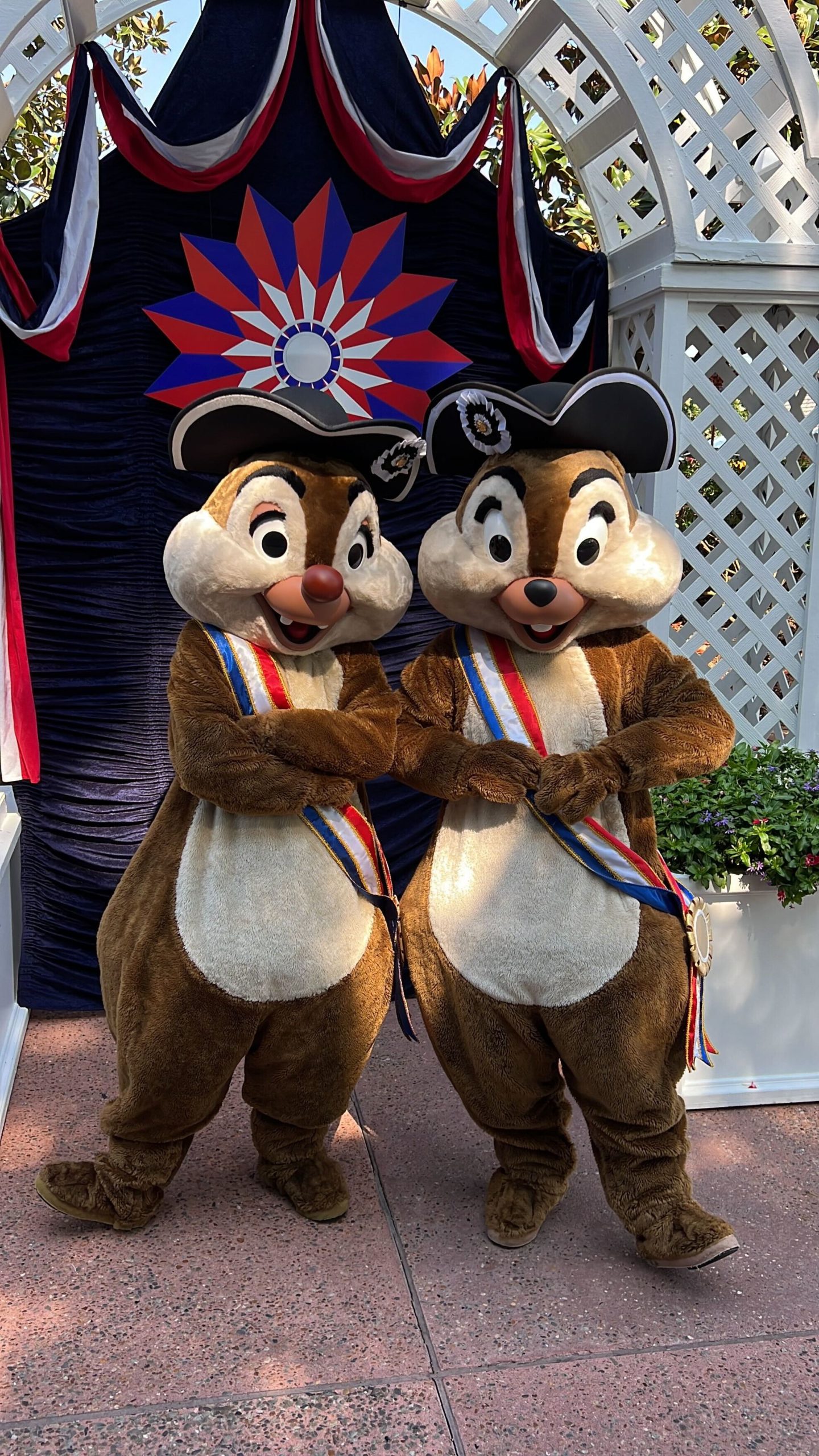 chip and dale 4th july