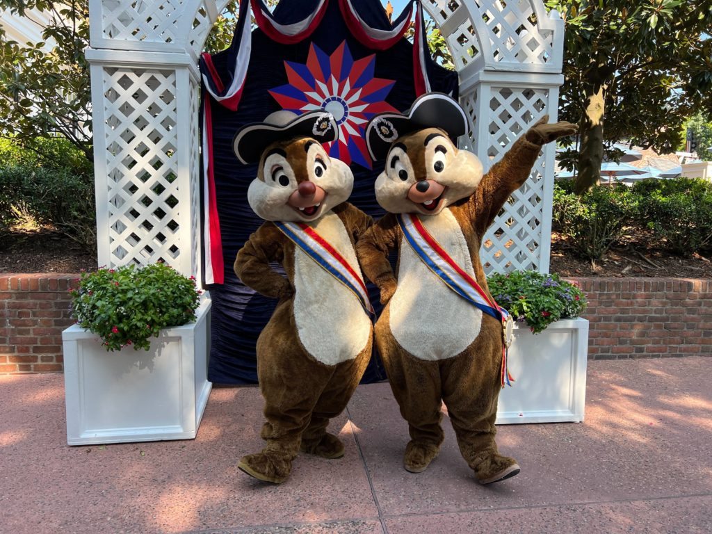 chip and dale 4th july