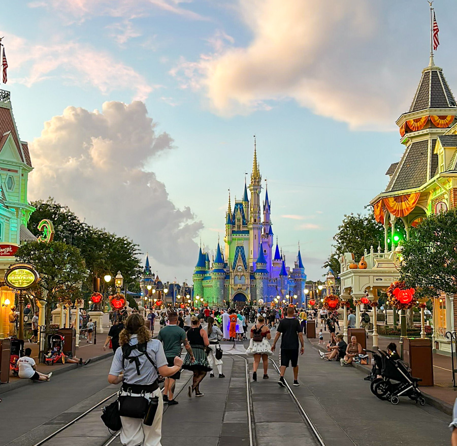 The Grown-Up's Guide to the Magic Kingdom for Adults • Nomad by Trade