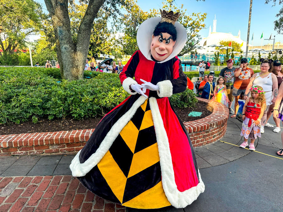 2023 Mickey's Not So Scary Halloween Party Queen of Hearts Meet and Greet