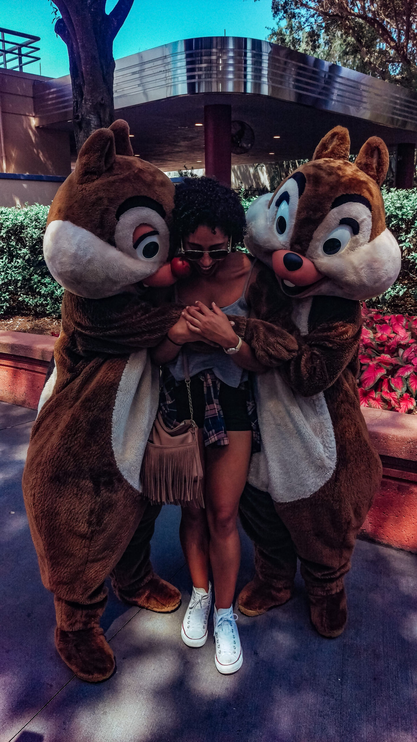 chip and dale meet and greet