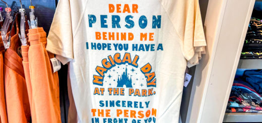 Star Traders Magic Kingdom Magical Merchandise Self Care Clothing Line