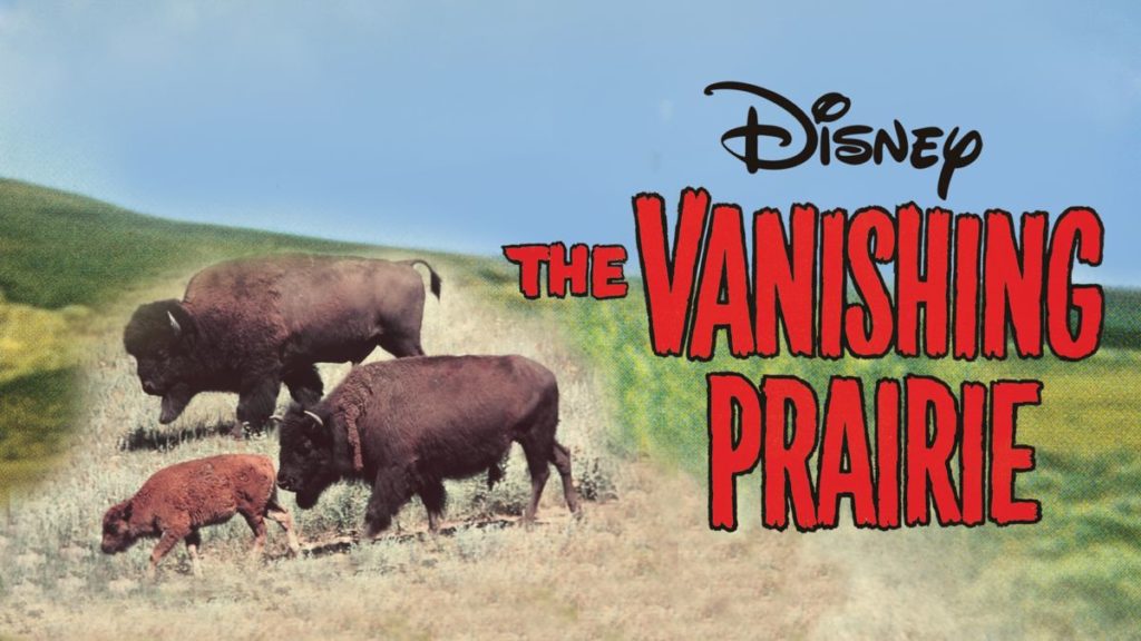 The Vanishing Prarie