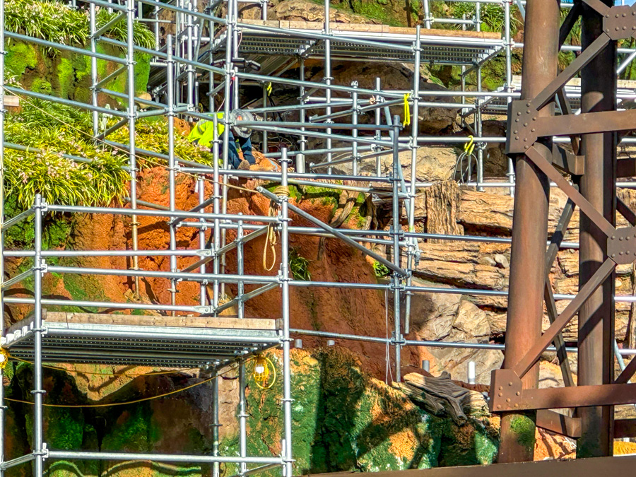 Walt Disney World Magic Kingdom Splash Mountain Tiana's Bayou Adventure Construction Greenery