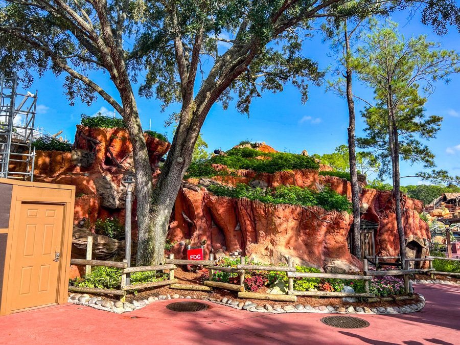 Walt Disney World Magic Kingdom Splash Mountain Tiana's Bayou Adventure Construction Greenery