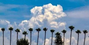 Clouds form in Southern California due to impending arrival of Hurricane Hilary