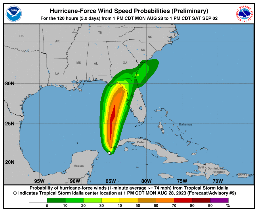 Hurricane Idalia preliminary wind speed probabilities