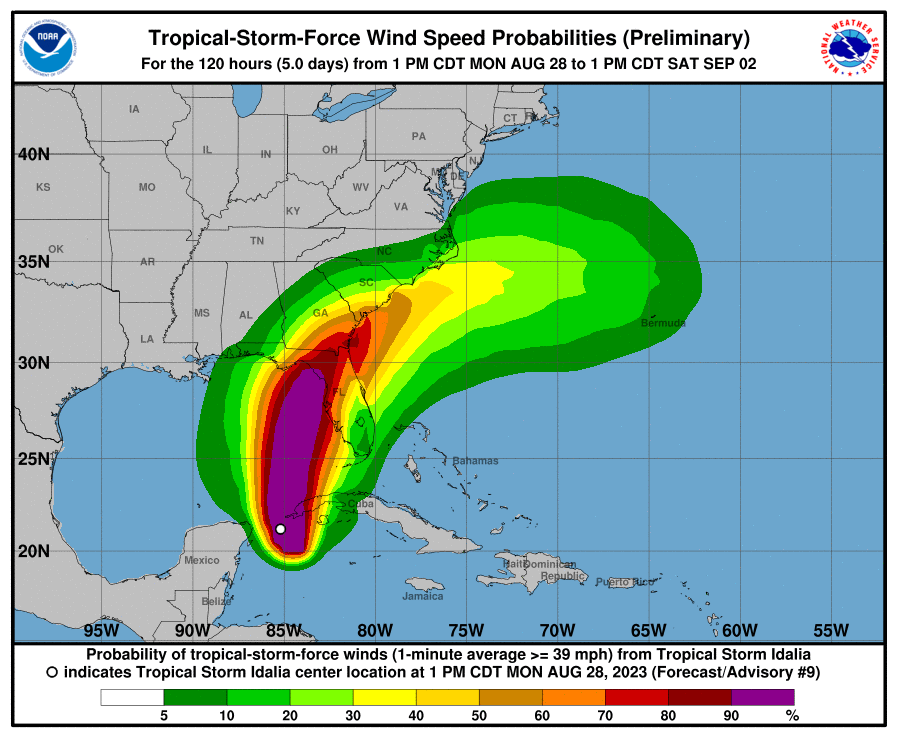 Hurricane Idalia wind speed probabilities