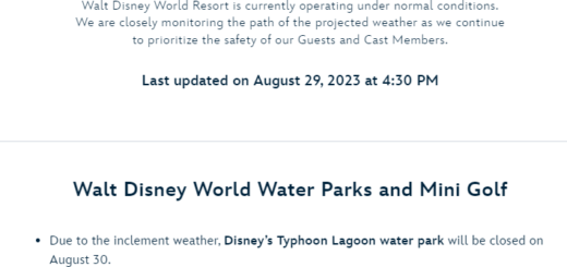 Walt Disney World Announces Closures for Hurricane Idalia