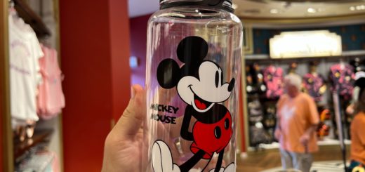 Mickey Mouse Waterbottle