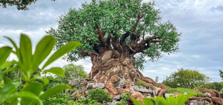 Tree of Life