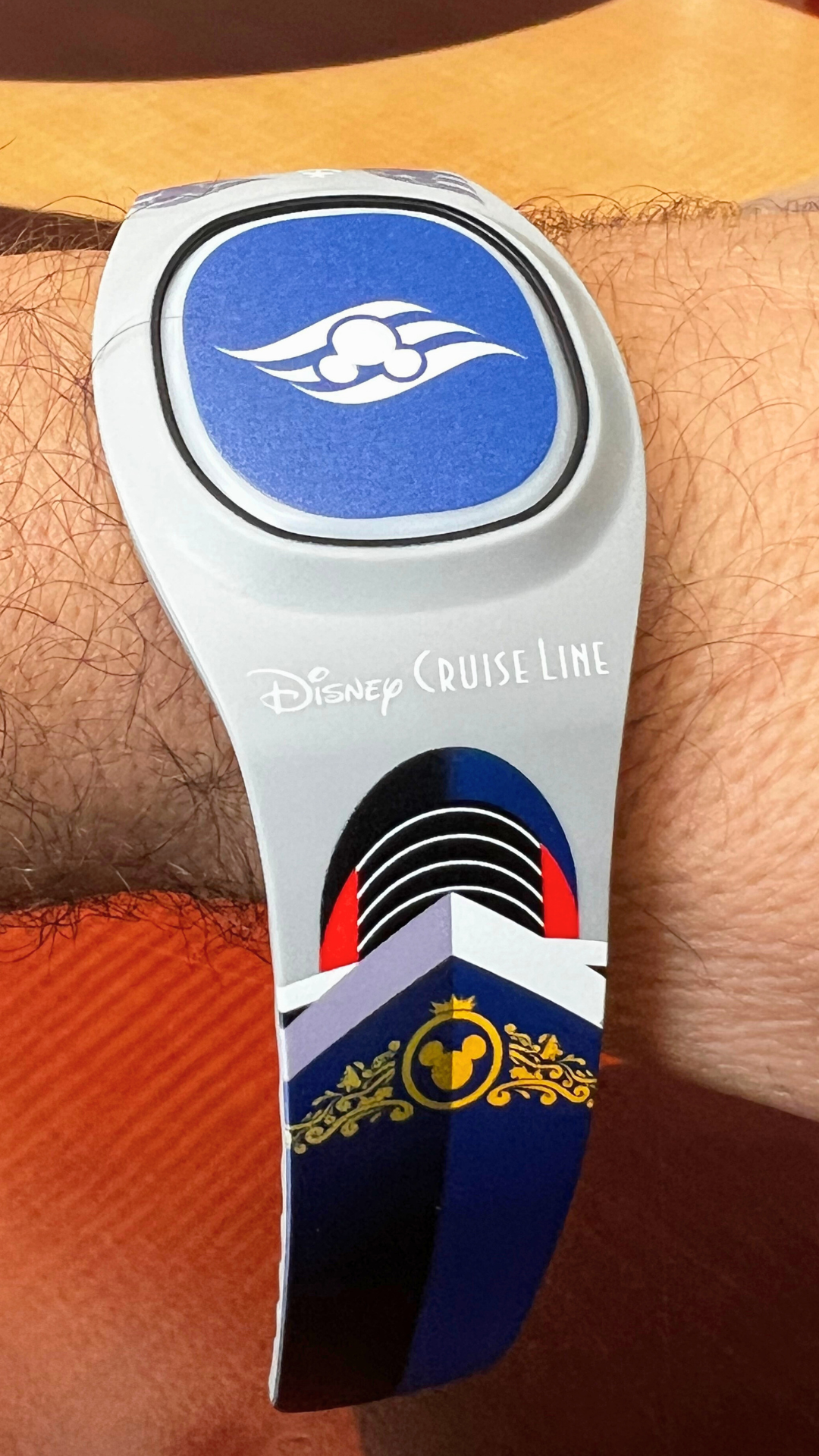 DCL MagicBand+