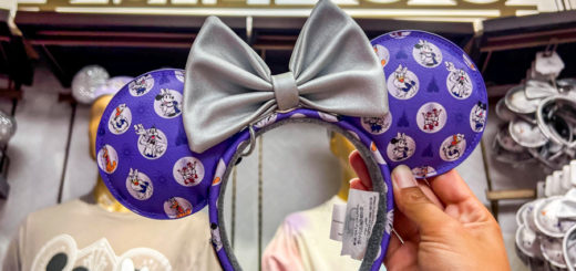 Disney 100th Anniversary Loungefly Purple Character Ears