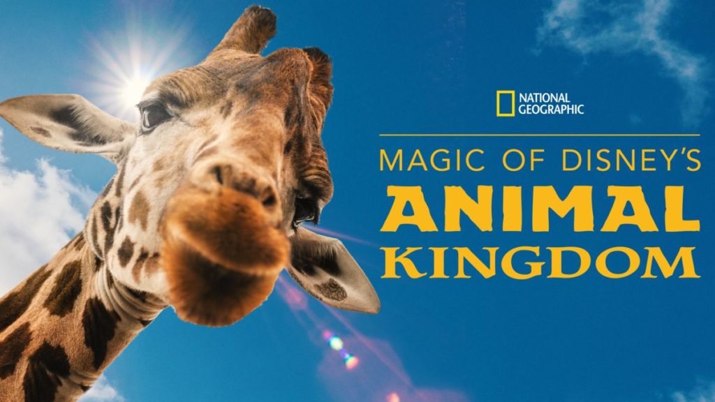 Magic of DIsney's Animal Kingdom