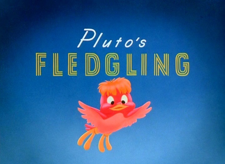 Pluto's Fledgling 