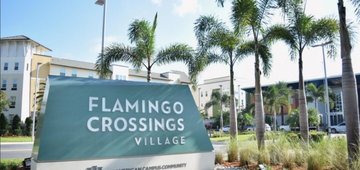 Disney College Program Flamingo Crossings