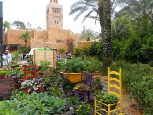 Morocco Pavilion garden