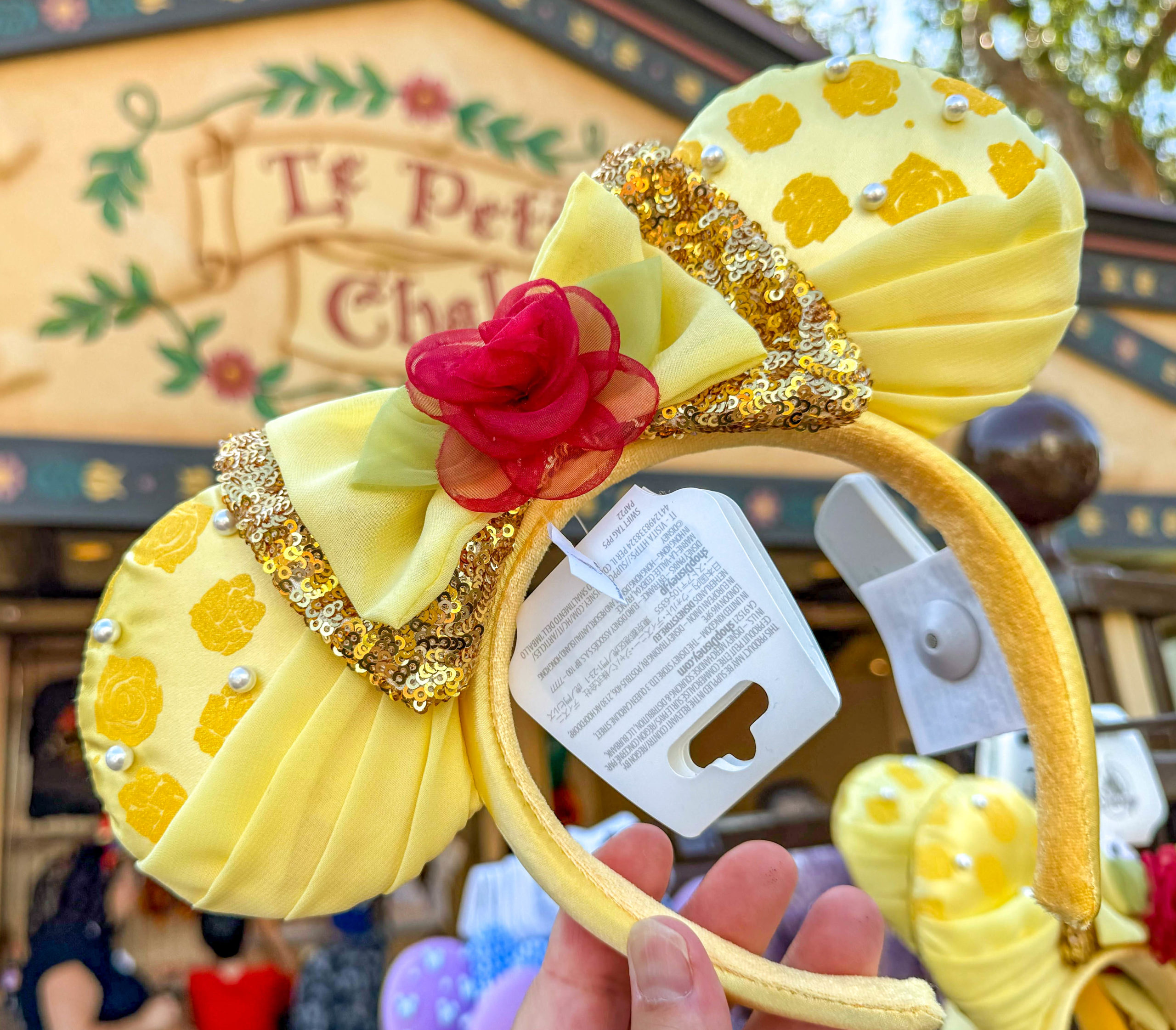 Disney Ribbon Art - Belle - Beauty and the