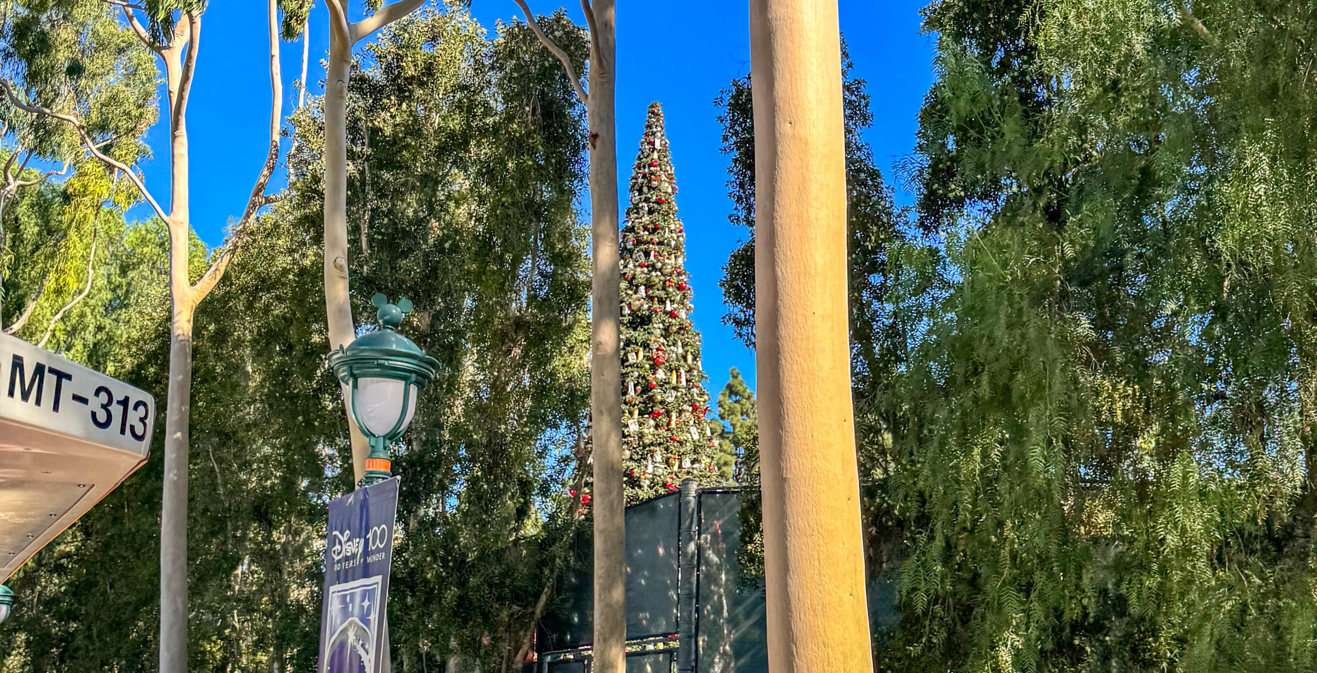 Disneyland Christmas tree