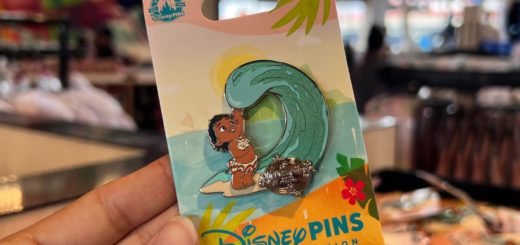 Journey of Water pin