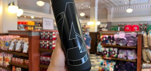 Starbucks Avengers Water Bottle