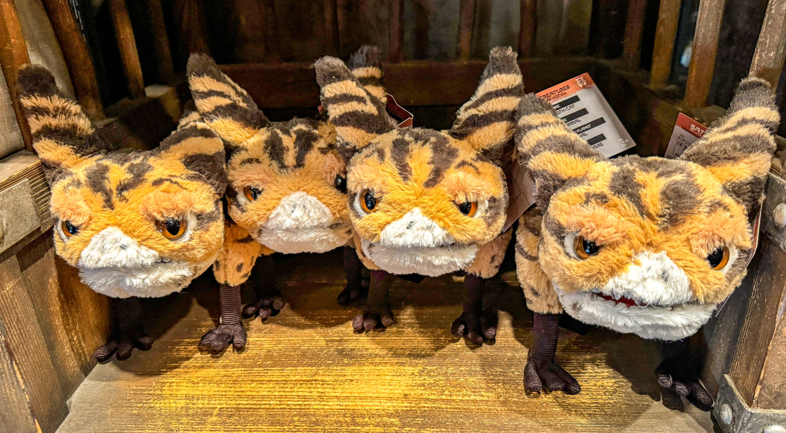Loth-cats