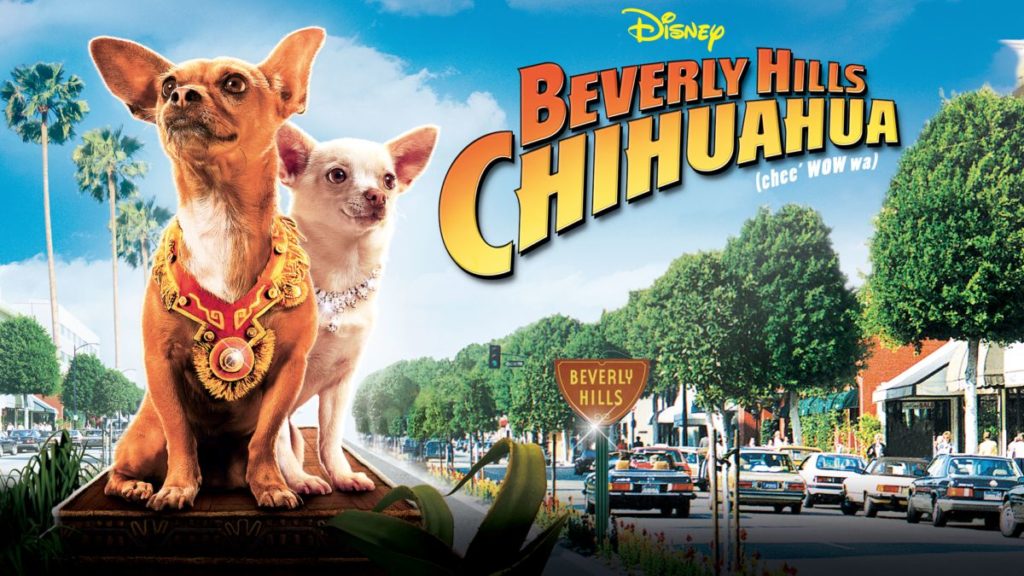 Beverly-Hills-Chihuahua.