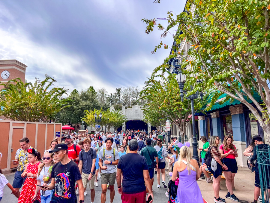 Columbus Day Indigenous Peoples Day Crowds EPCOT Hollywood Studios