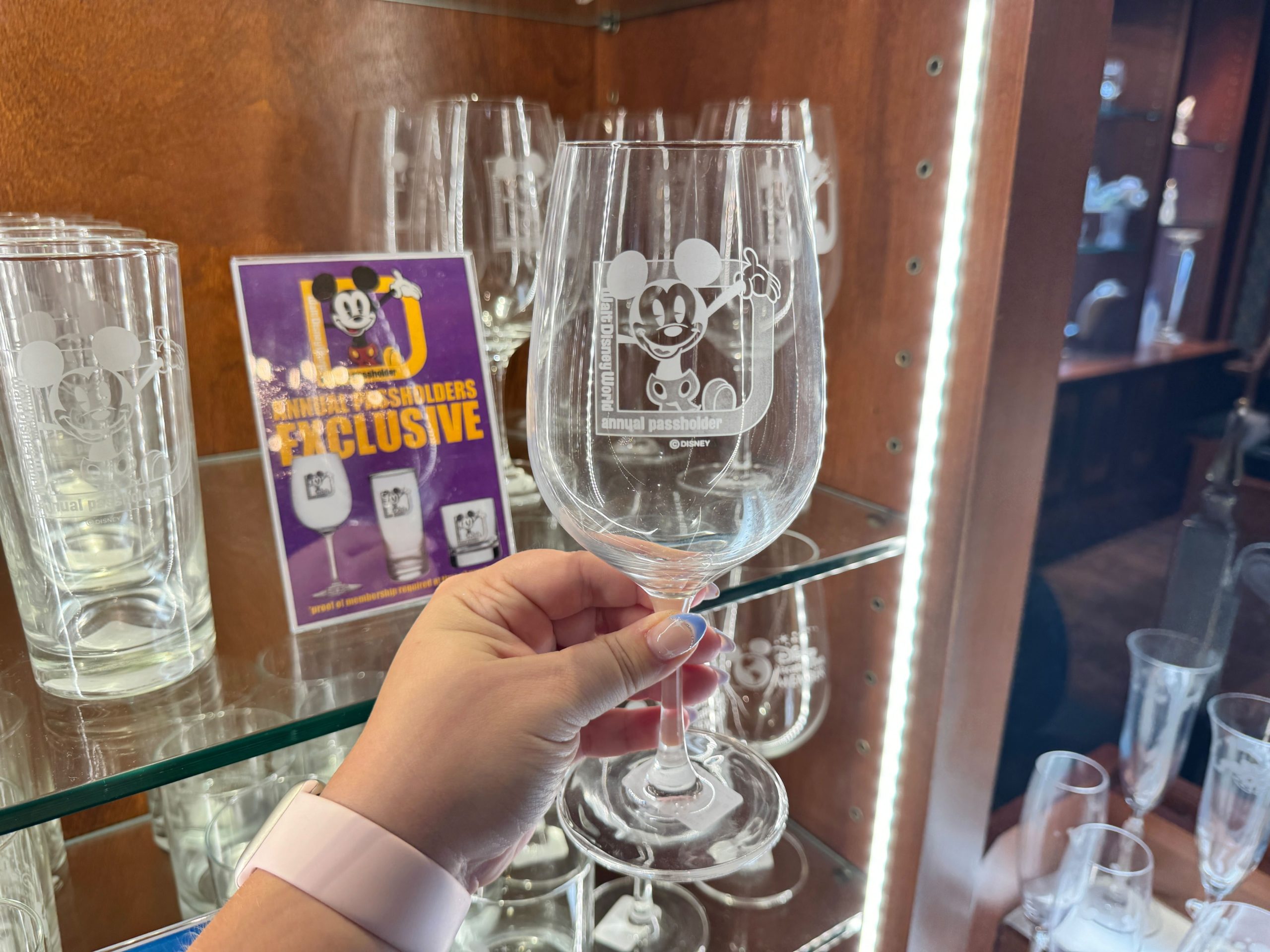 New: Annual Passholder and DVC Exclusive Glassware Spotted at Magic Kingdom  