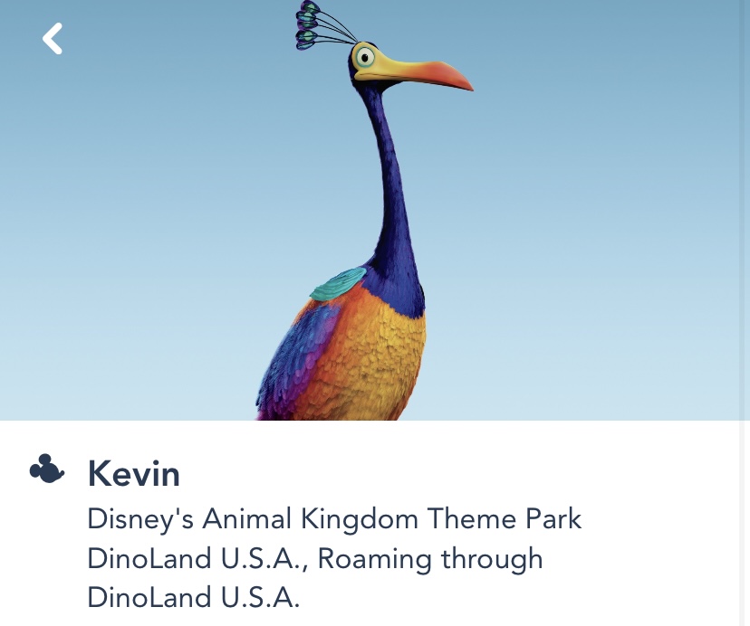 Kevin My Disney Experience app