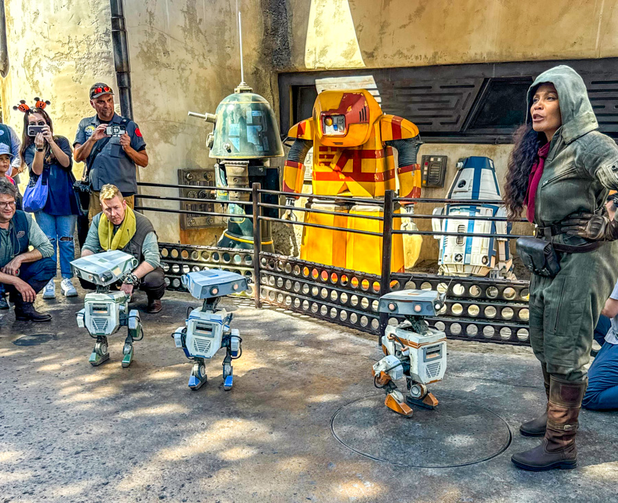 Star Wars Galaxy's Edge Disneyland Park Roaming Droids Blue Green Orange