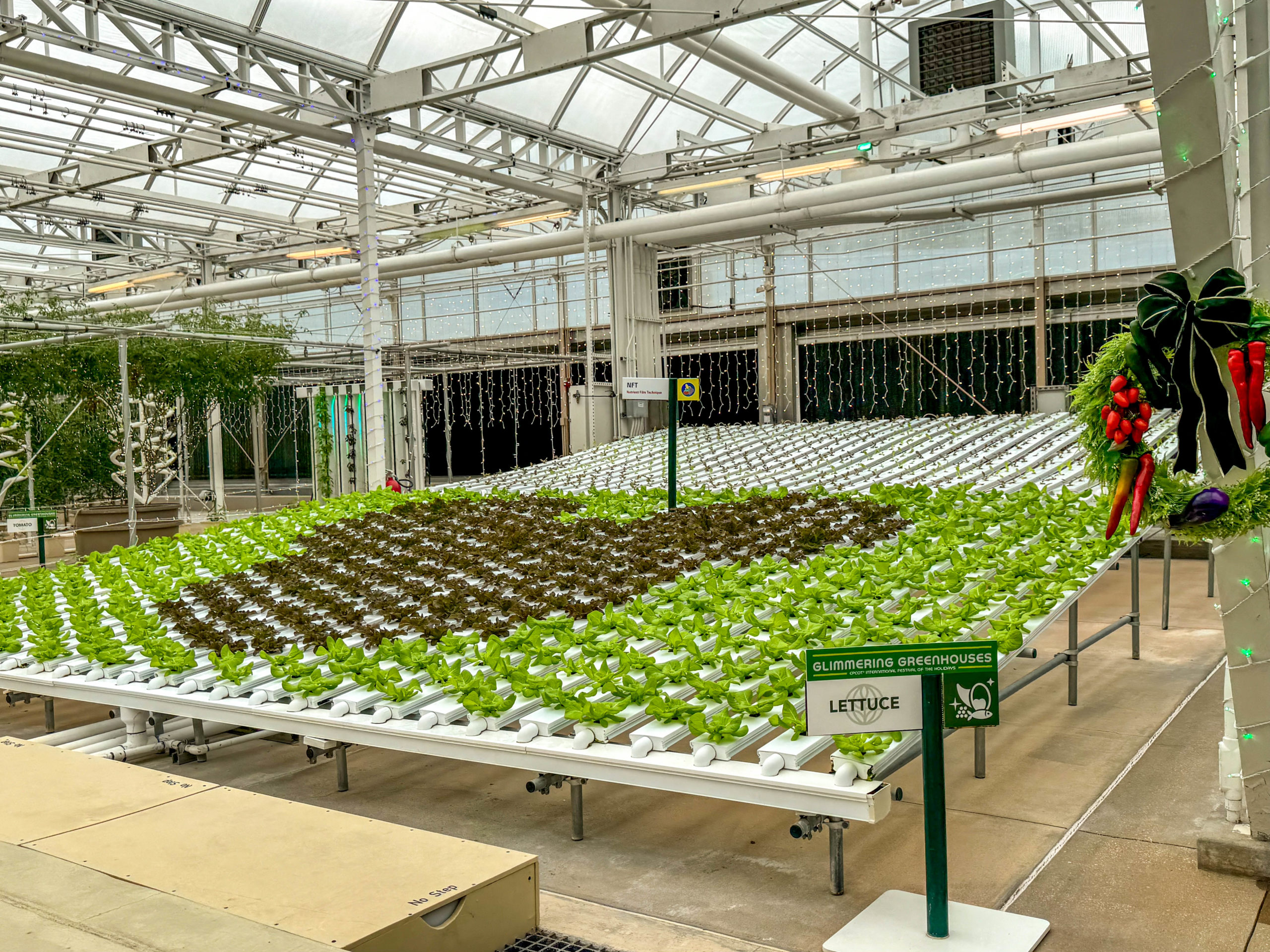 Living with the Land Glimmering Greenhouses