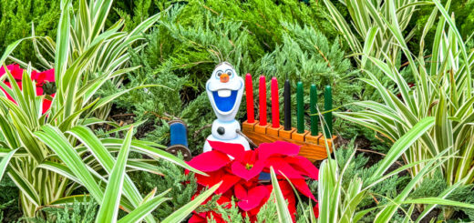 2023 EPCOT International Festival of the Holidays Olaf's Holiday Tradition Expedition Scavenger Hunt