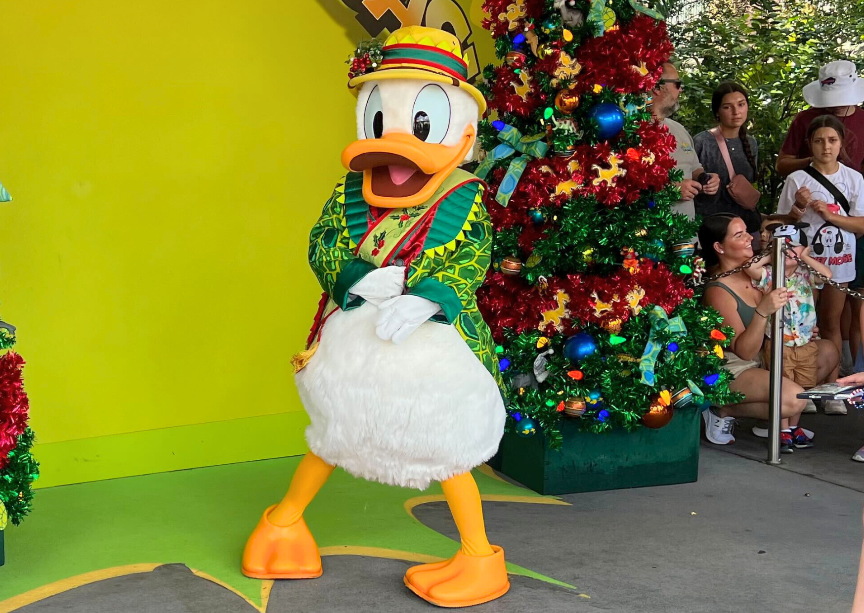 Donald's Holiday Outfit