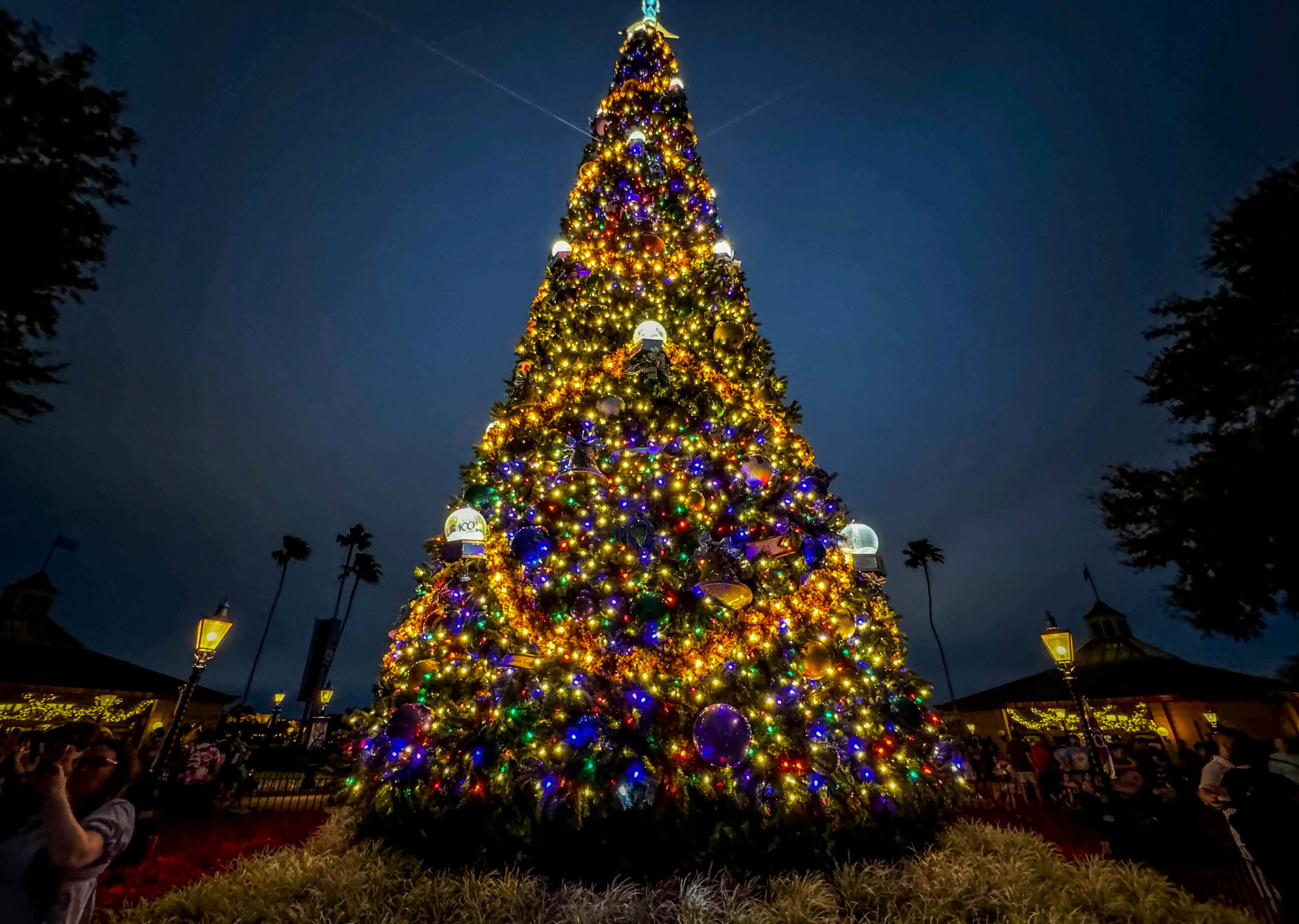 EPCOT Christmas Tree