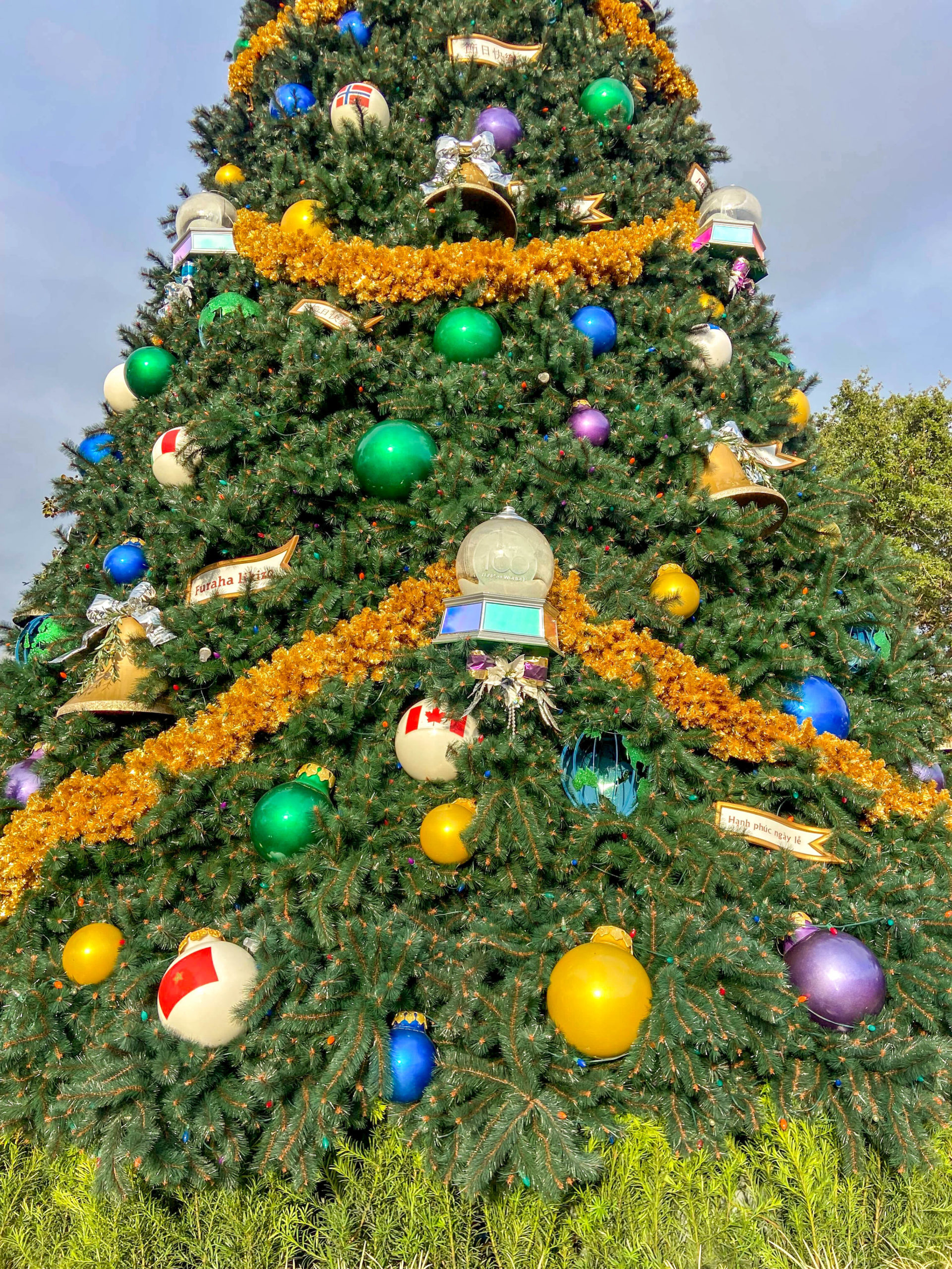 EPCOT Christmas Tree