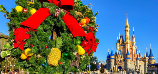 Magic Kingdom Christmas Wreath Cinderella Castle