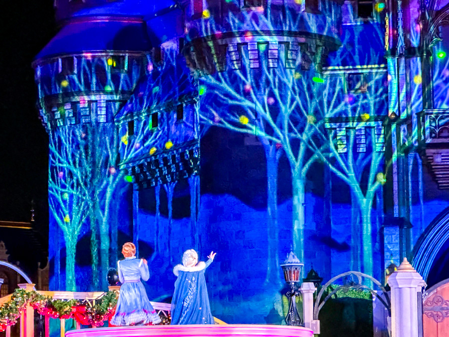 Cinderella Castle Frozen Holiday Surprise Magic Kingdom Night Fireworks Castle Show