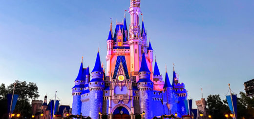 Cinderella Castle Frozen Holiday Surprise Stock