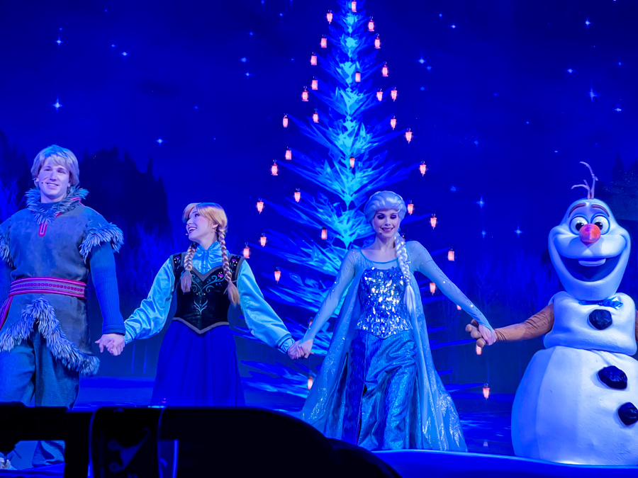 For the First Time in Forever_ A Frozen Sing-Along Celebration Holiday Edition Ending Hollywood Studios