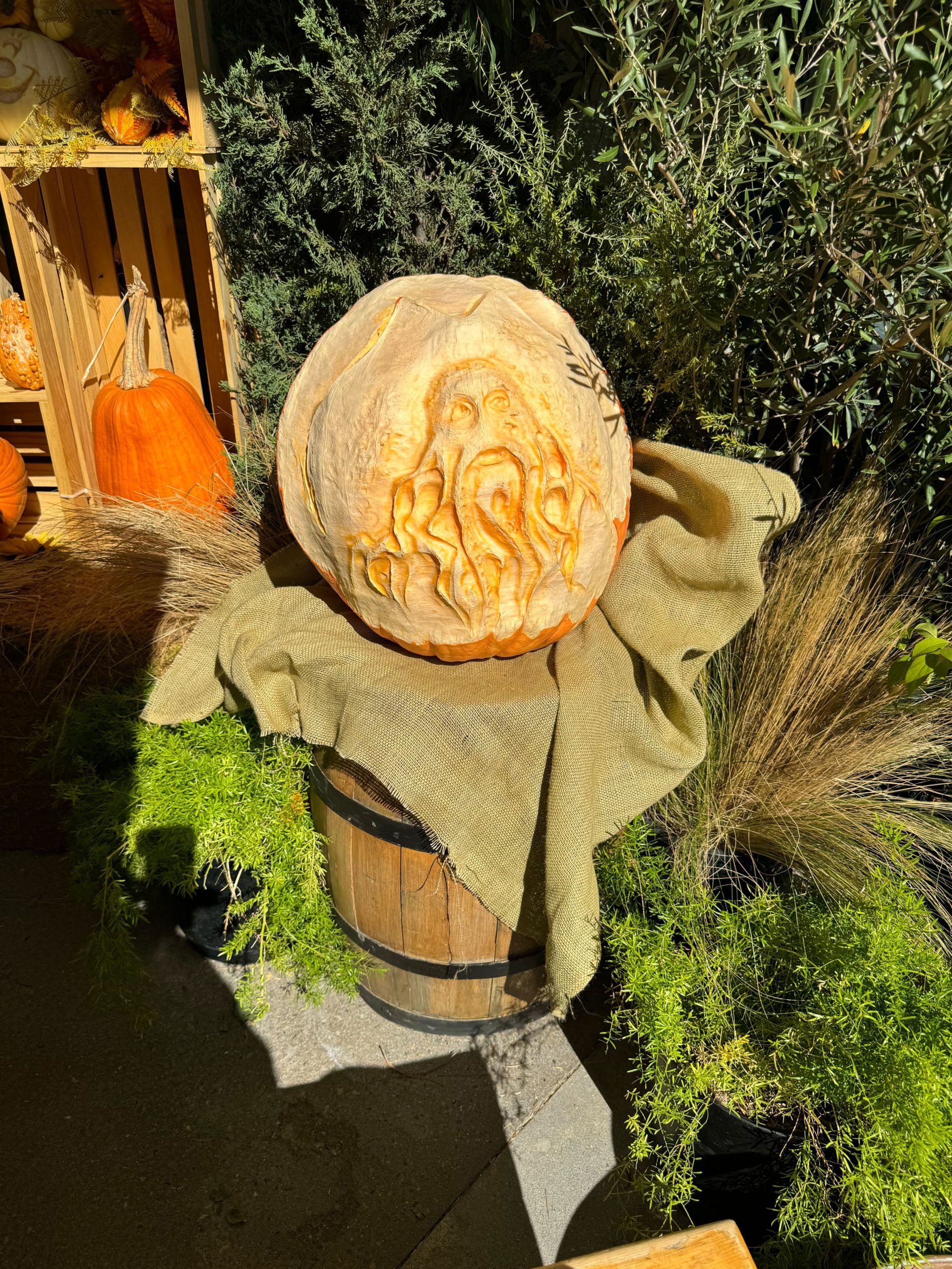 disneyland hotel pumpkin carver