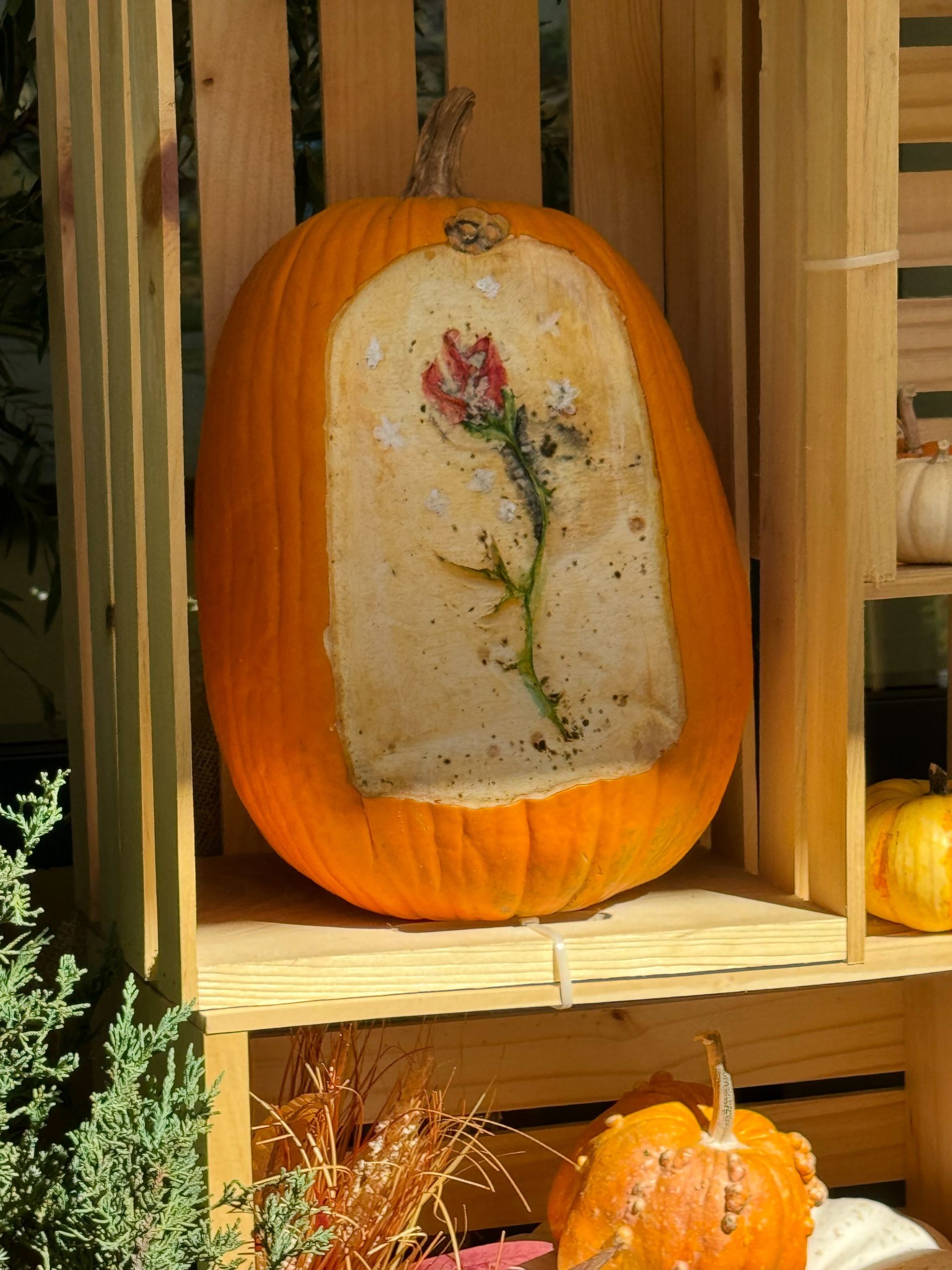 disneyland hotel pumpkin carver