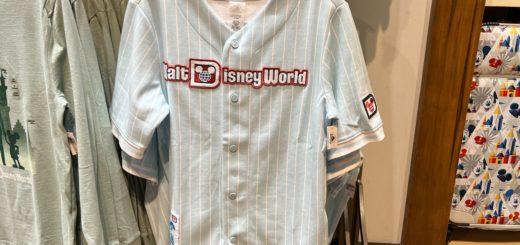 Walt Disney World Baseball Jersey