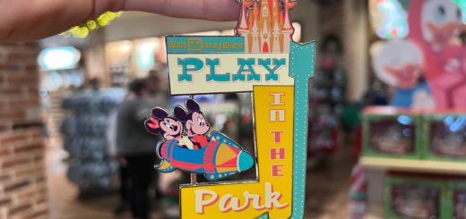Play in the Parks Ornaments