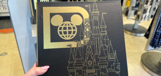 Walt Disney World Photo Album